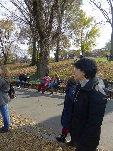 USA_2011-11-20 12-32-10